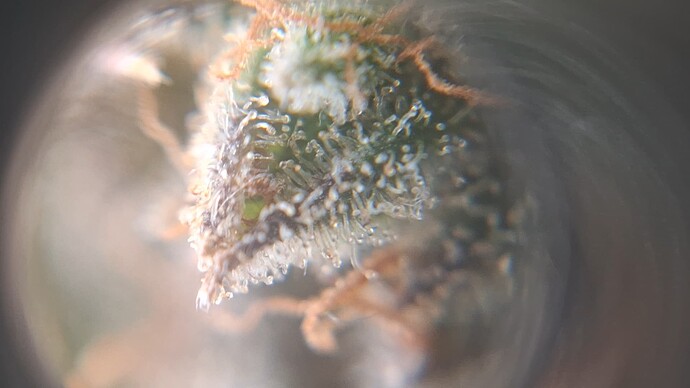 Growreport Bild 12