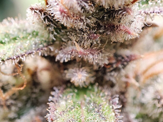 Growreport Bild 18