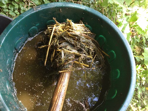 Growreport Bild 15