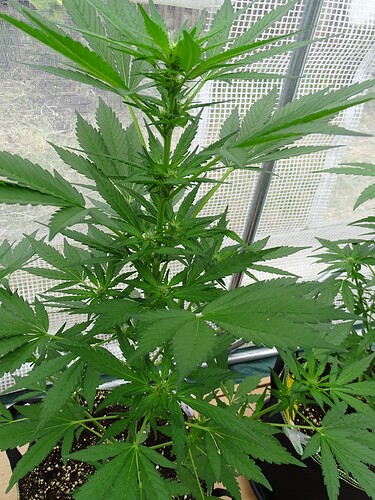 Growreport Bild 14