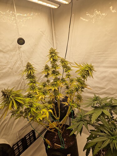 Growreport Bild 17
