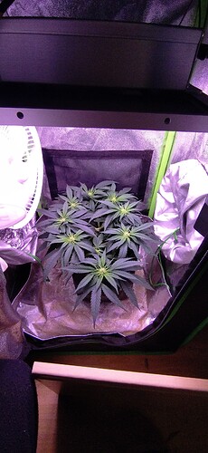 Growreport Bild 2