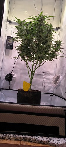 Growreport Bild 15