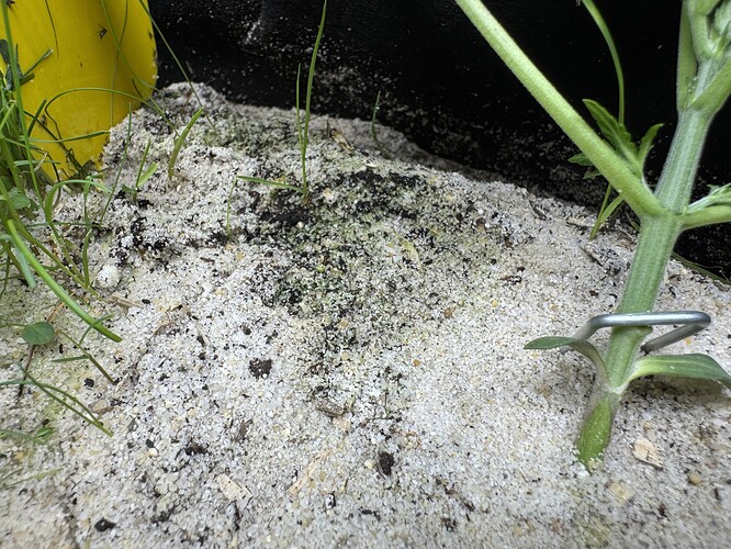 Growreport Bild 22