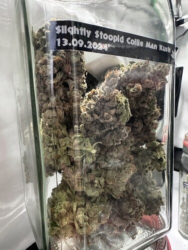 Growreport Bild 43