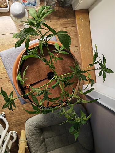 Growreport Bild 21