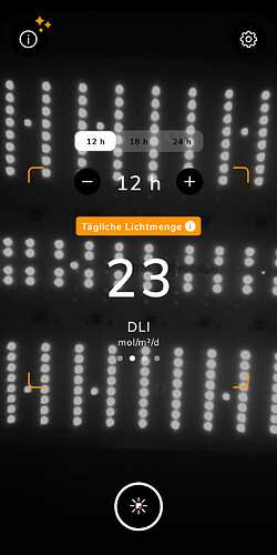 Growreport Bild 15