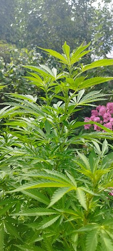 Growreport Bild 8