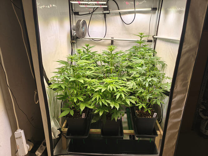 Growreport Bild 5