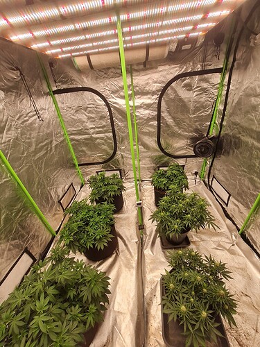 Growreport Bild 2