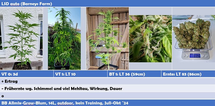 Growreport Bild 6