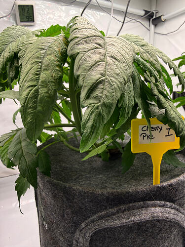 Growreport Bild 19