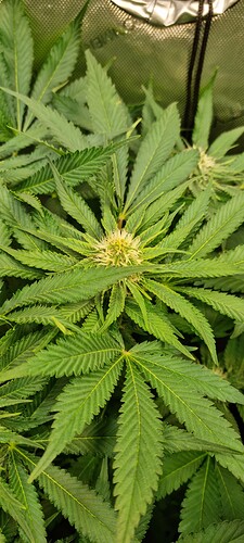 Growreport Bild 11