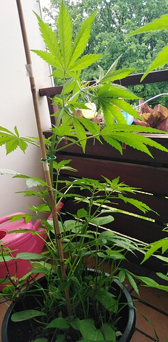 Growreport Bild 18