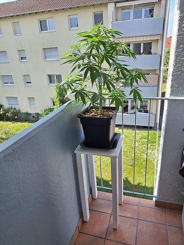 Growreport Bild 9