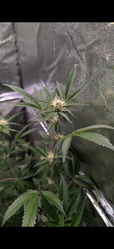 Screenshot_20241013-030503