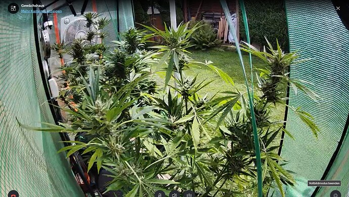 Growreport Bild 19