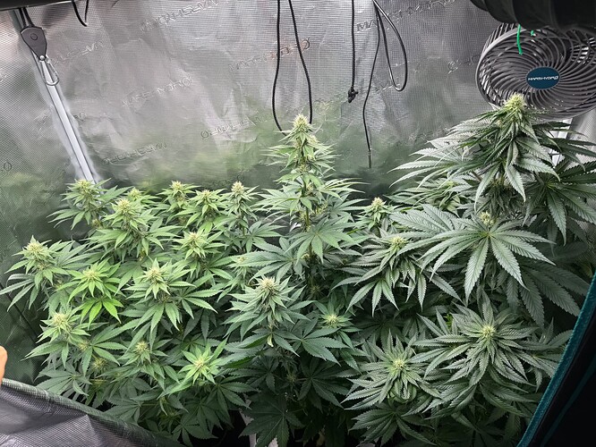 Growreport Bild 9