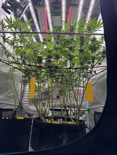 Growreport Bild 3