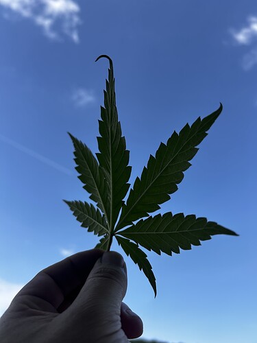 Growreport Bild 21