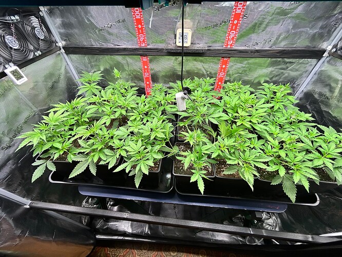 Growreport Bild 18