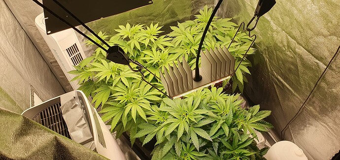 Growreport Bild 6