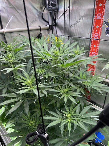 Growreport Bild 2
