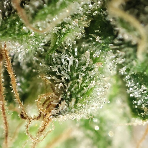 Growreport Bild 22