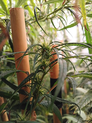 Growreport Bild 23