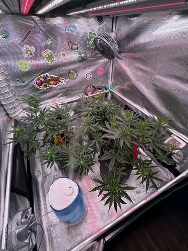 Growreport Bild 6