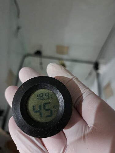 Growreport Bild 37
