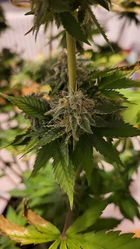 Growreport Bild 21
