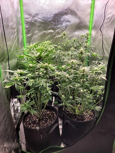 Growreport Bild 11