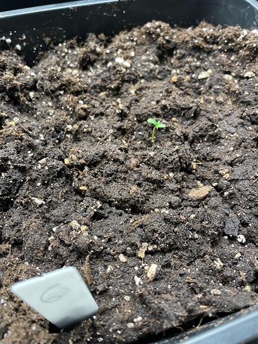 Growreport Bild 2