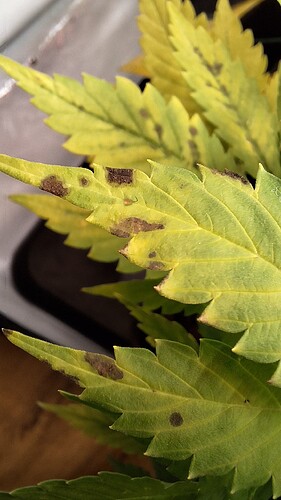 Growreport Bild 12