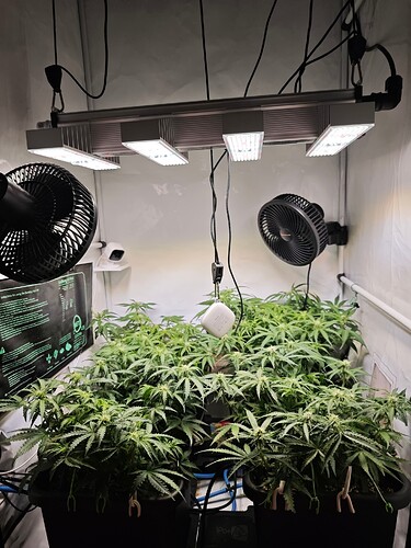 MVIMG_20251022_164740