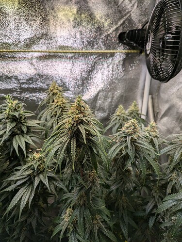 PXL_20240623_193139212