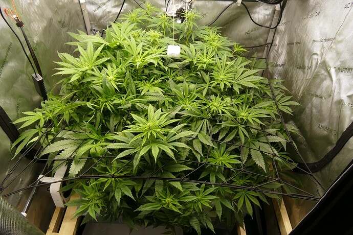 Übersicht_vorne_VT53BT6