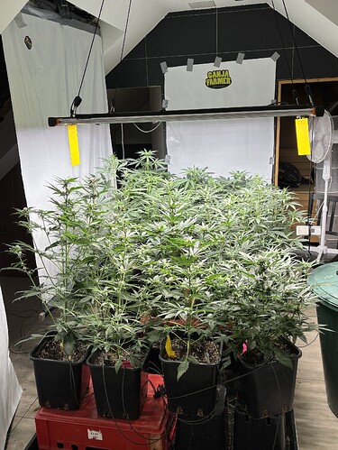 Growreport Bild 38