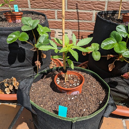 PXL_20240531_093528736