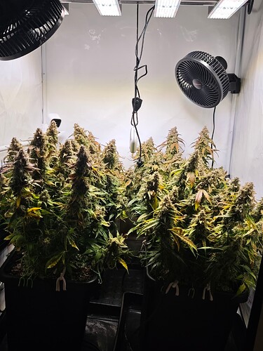 MVIMG_20251202_164316