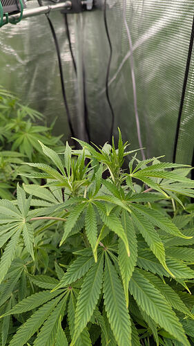 Growreport Bild 7