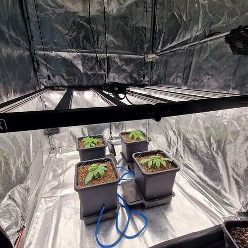 Growreport Bild 9