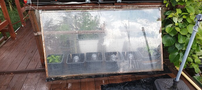 Growreport Bild 13