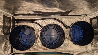 PXL_20250517_082455272