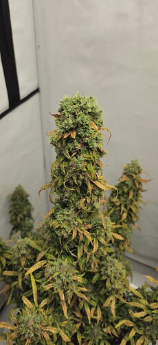 Growreport Bild 21