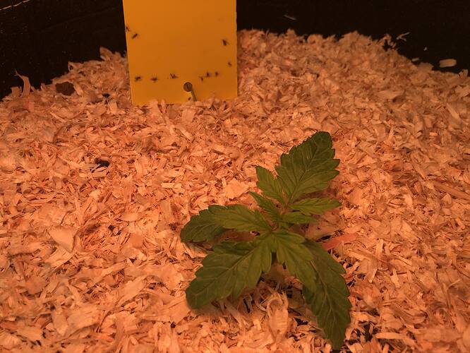 Growreport Bild 7