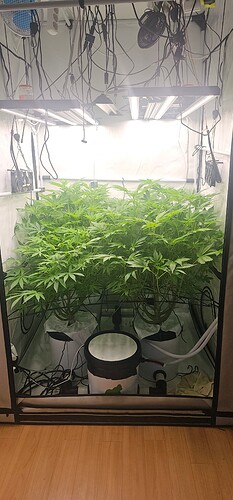 Growreport Bild 7