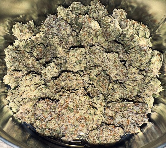 Growreport Bild 61