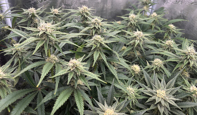 Foto 20.01.26, 16 49 11